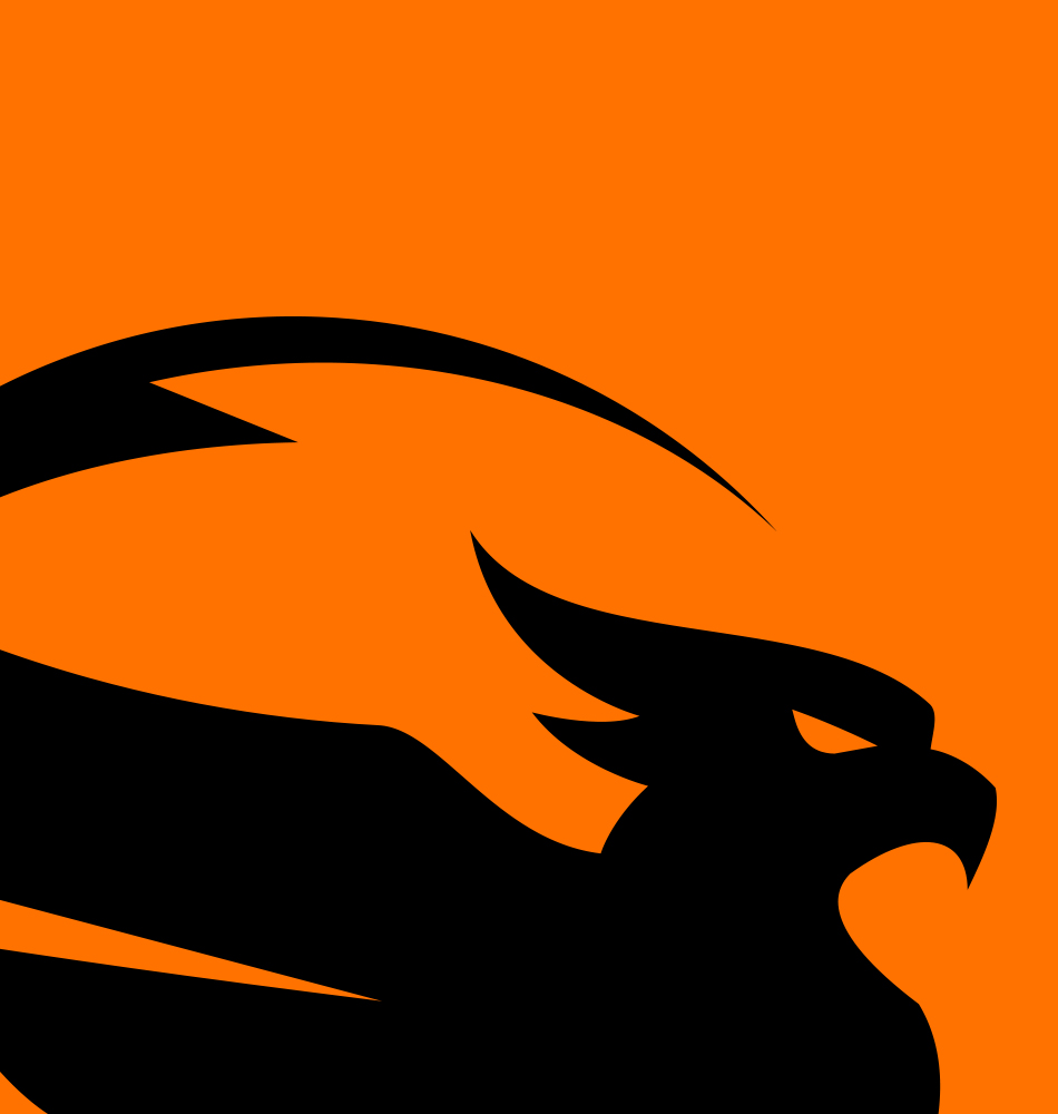 Феникс-ВС Логотип